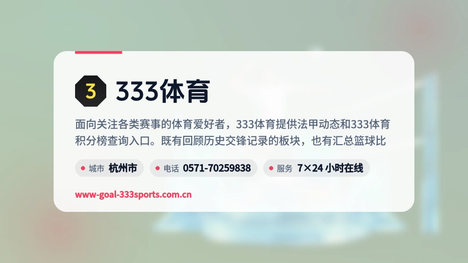 333体育简介